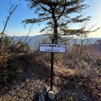 稜線に出ました