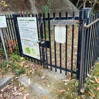 登山口まですぐ