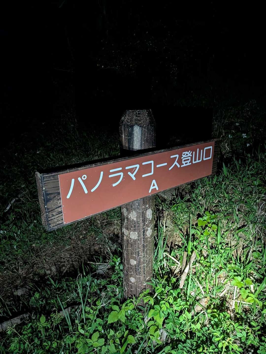 パノラマコースは昔から
名前と合致していない…www
森林コースより森林😅
だからこそ闇夜訓練に
使いたかった❤️‍🔥