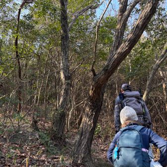 時間の関係で日山は登らず、雨山へ