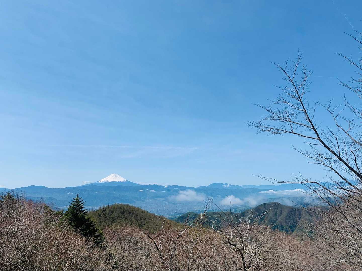これはすごい✨