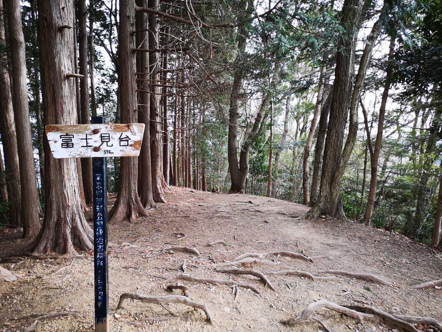 川原宿大橋バス停-心源院尾根散策コース入口-秋葉神社-春え 縦走コースの写真