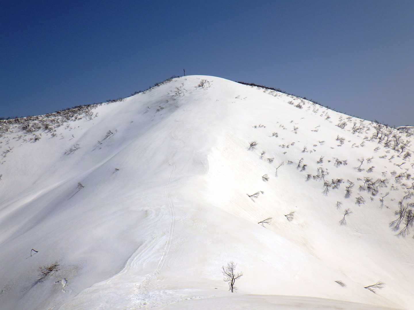 初雪山へのビクトリーロード