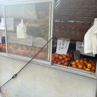 柿3個で100円。買ってみました。美味しいかな？