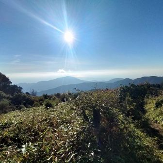 丹沢山〜塔ノ岳の間の稜線から見える風景と富士山が絶景すぎて写真がやたらと多くなってます😍✨️あと、行きと違って帰りは下りメインという事もあり気持ちに余裕が生まれる(*´ω｀*)