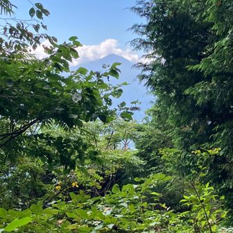 石老山から南西方面に大室山が見えました