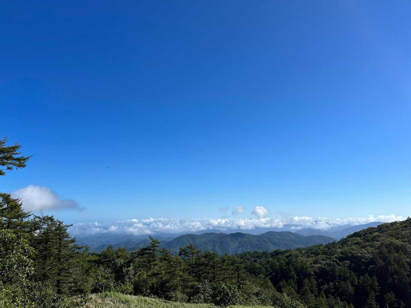 ずっと向こうに大山あるらしい