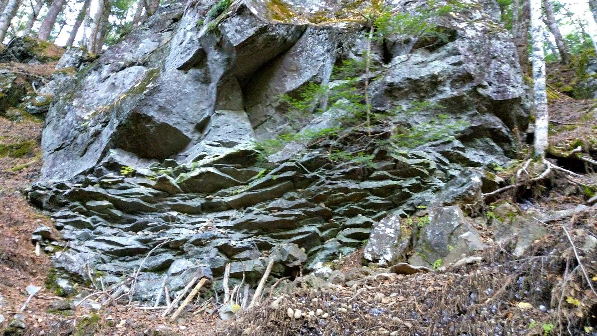美濃戸口登山口-美濃戸登山口-地蔵ノ頭-堰堤広場 周回コースの写真