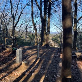 大高谷山に到着。