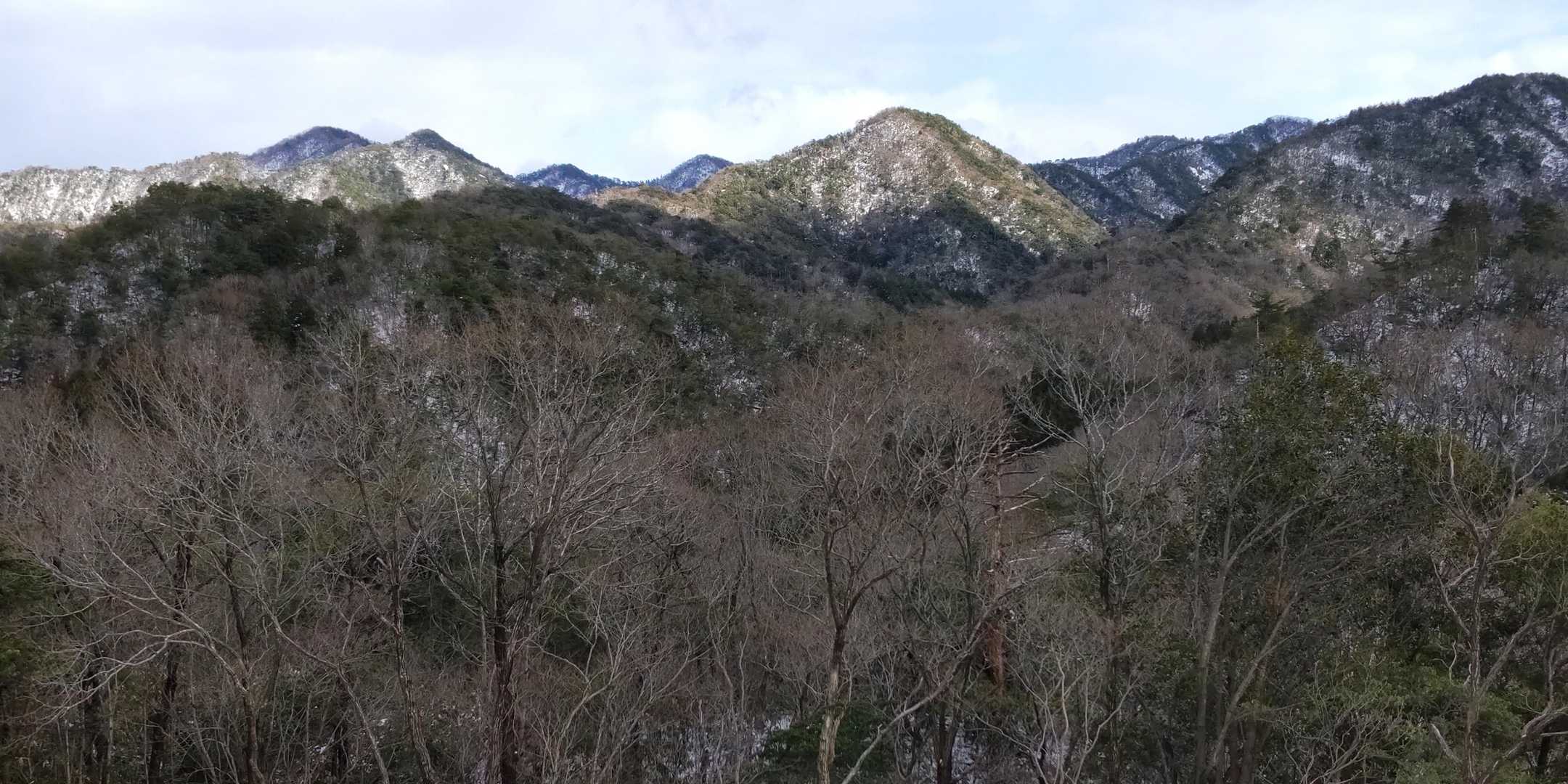 いつもの鉄塔コース
