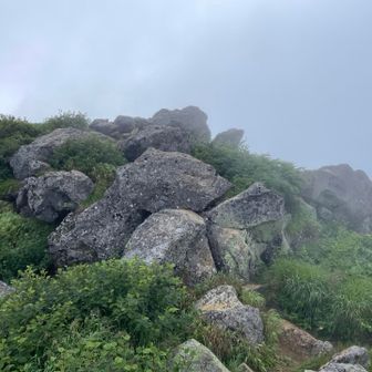 山頂付近