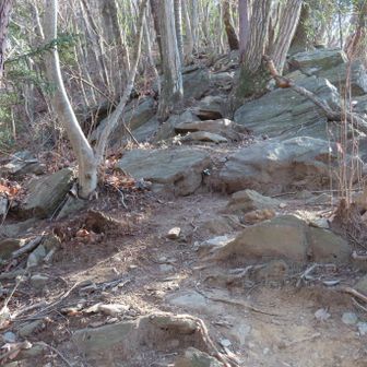 降りてきた急坂を振り返り