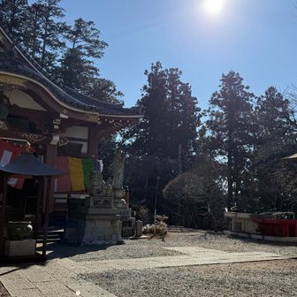 でっかり草履がすごい！