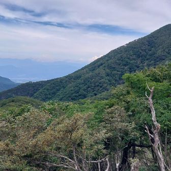 駒ヶ岳山頂から見た黒檜山。登ってきた道の全体がよく見える。