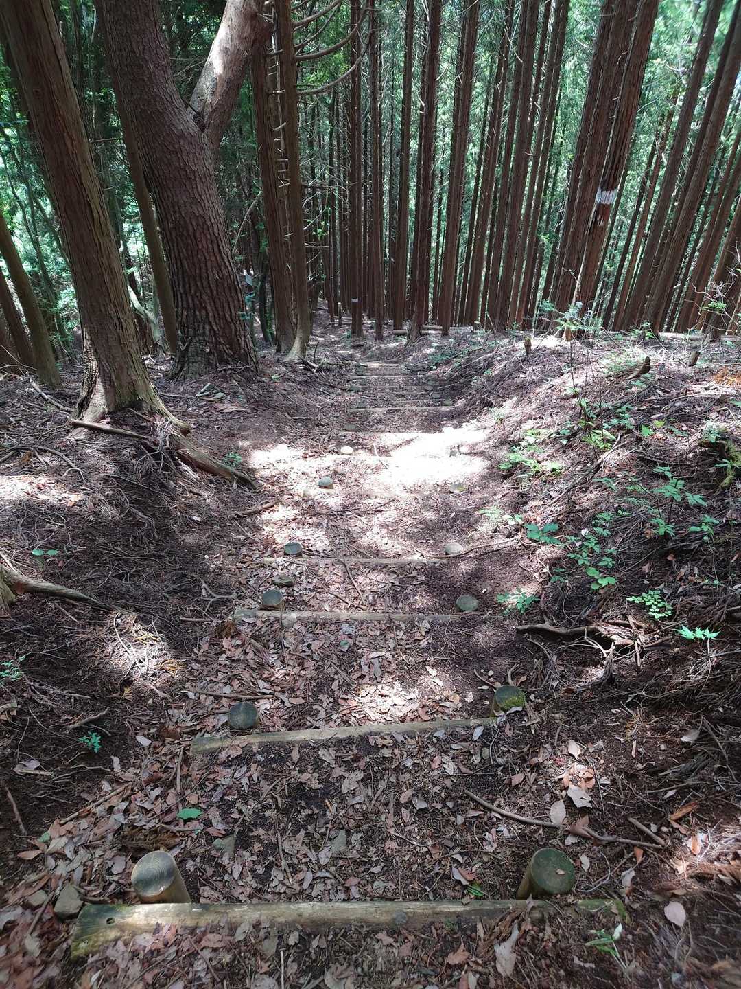 ひたすら階段下ってると無性にウンコしたくならない？
私だけですかそうですか