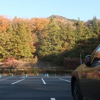 市営第3P到着 
平日のためかガラガラ 
下山時はほぼ満車