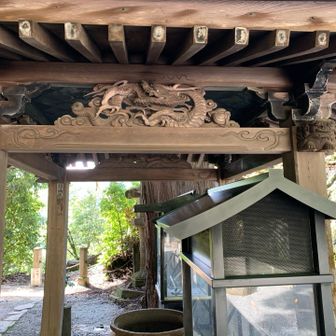 龍🐉の蟇股
各寺院の蟇股を観るのも楽しいです
宮大工さんの技、拘りを垣間見る事が出来ます
