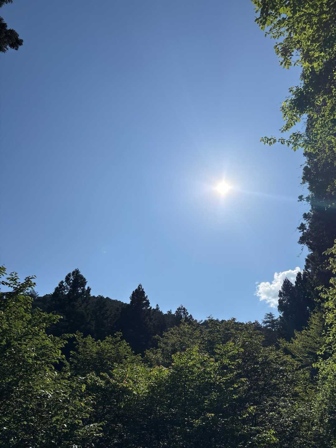 良き天気☀️
ほぼアスファルトの道を歩いて行くのですが