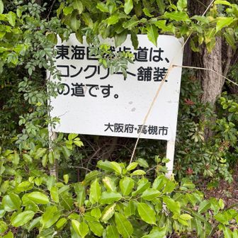 駐車場から本山寺までの「つまんない舗装路」の至る所にこの看板😅😅