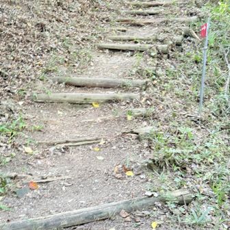 まずは繖山へ。