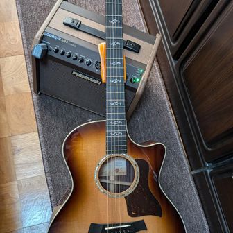 🎵かんちゃん🎸