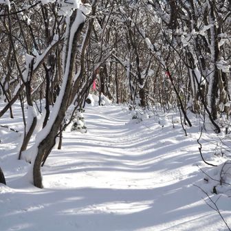 この辺りはワカンがあったらよかったな