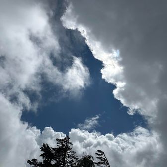喜びも束の間、再び雲に覆われてきました⛅️