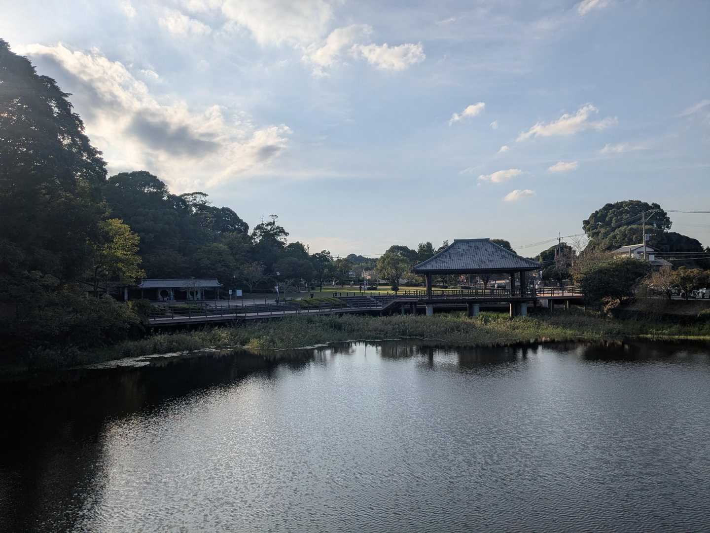 公園を歩くだけでも気持ちいい😊