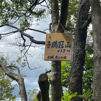 景色を眺めながらここで、🍙タイム