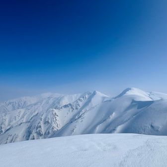 本山方面🥹
厳冬期特有のゴモゴモも無くなって
なめらかクリーミィ🥰
よく私１日であそこまで歩いたな🤣