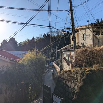 集落というか宿場がいっぱい
ビックリした  御岳山ってこうなってるんだ😲