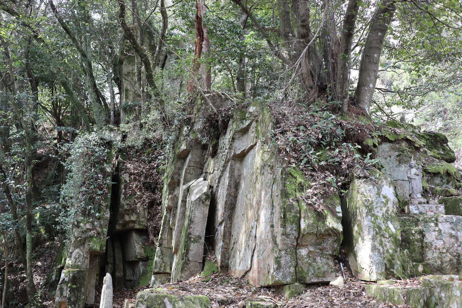 縦に割れた岩がいっぱい
神秘的な風景に変わってきました