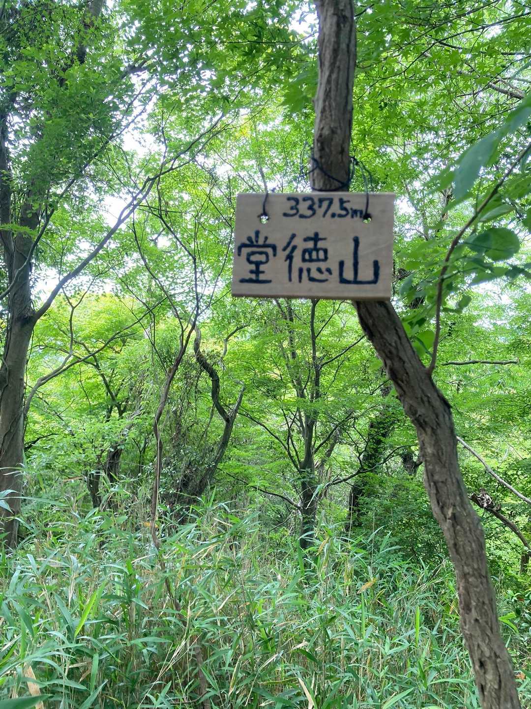 3枚目の写真の行きどまり方面に行ったら堂徳山でした⛰️
ここで山歩を始めて、初めてリスに会えました🐿️🤗
写真はムリやった〜😭