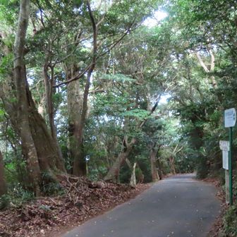 志々伎神社へ
