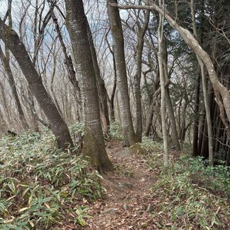 つばくろさんから、雨引山に行く道。
坂こわわわわわ