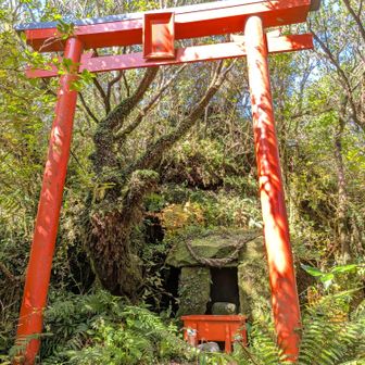 一方通行下山ルート、直ぐに御嶽神社⛩️