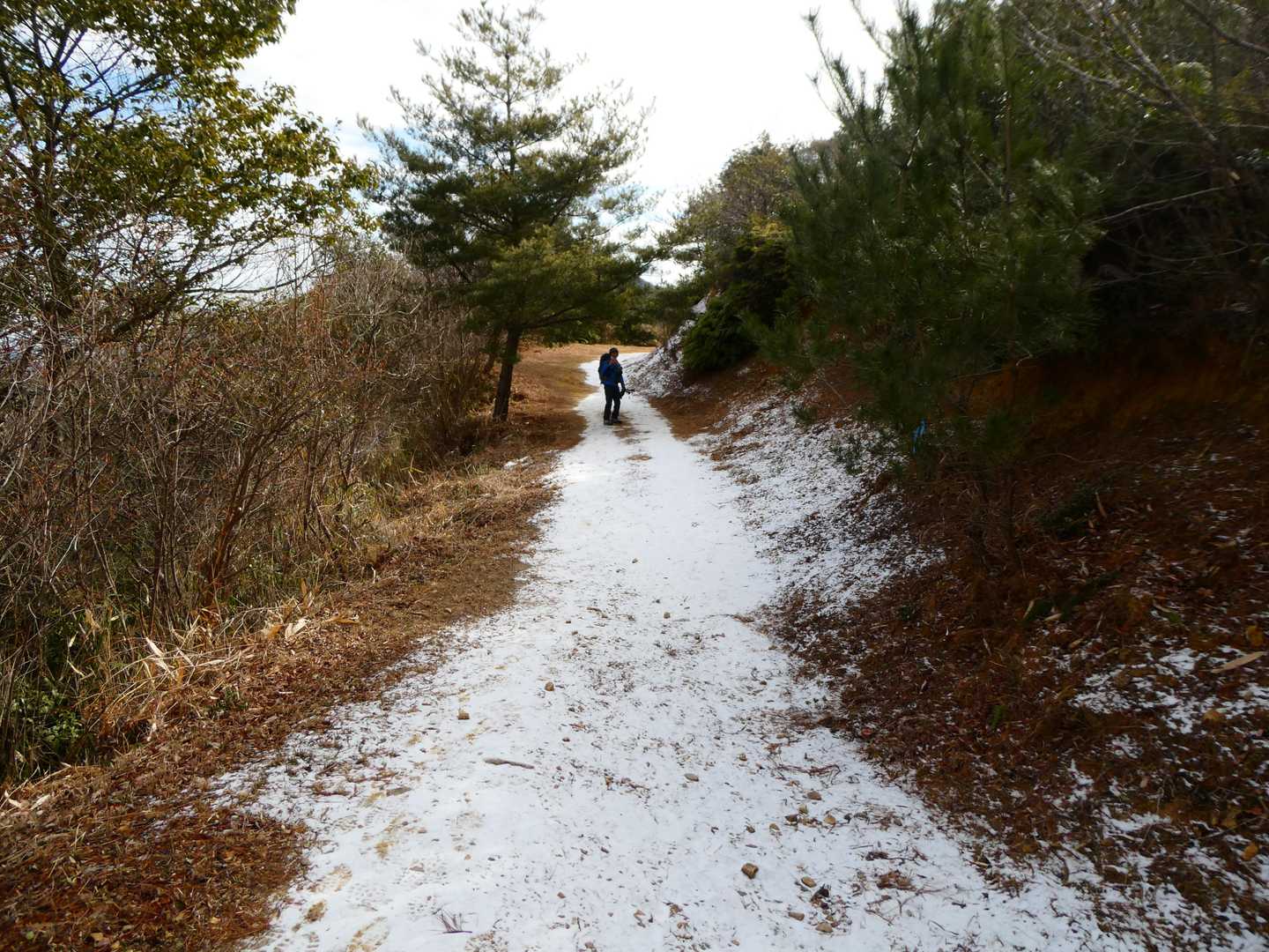 その後は車も通れそうな広い道
右手にも並行して登山道あり