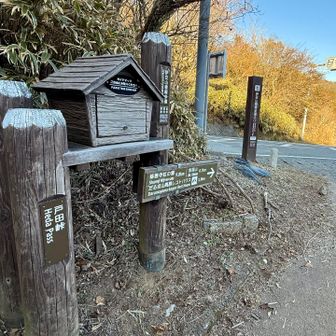 戸田峠駐車場に戻ってきました
おつかれ山✨