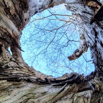 不思議な感じ🤭