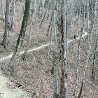 日影はかなり冷え込む🥶