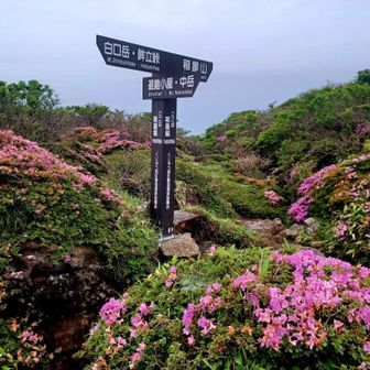 稲星越分岐