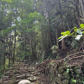 山歩きも