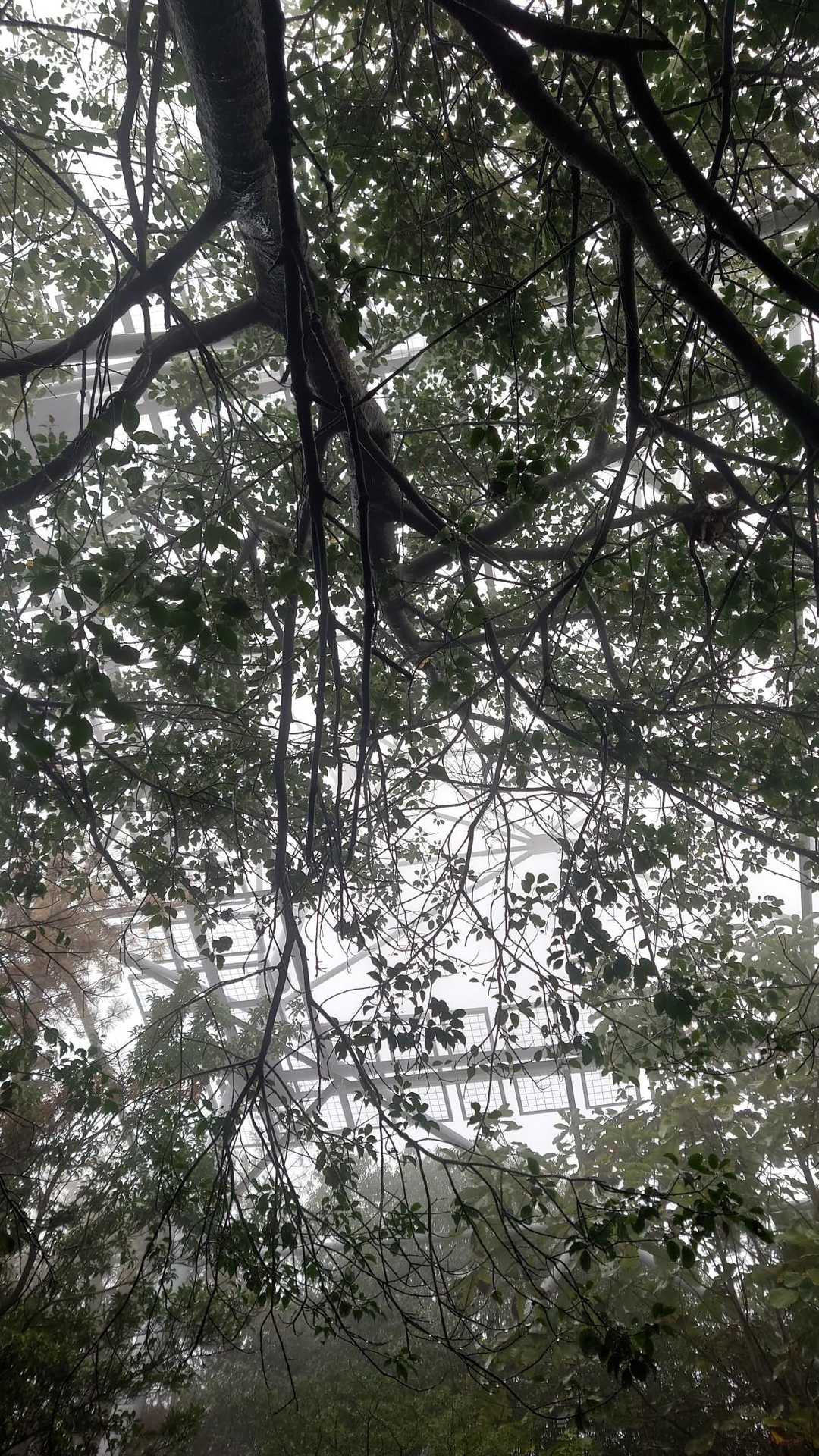 鉄塔真下シリーズ