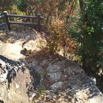 進むと
このような石段を下りる