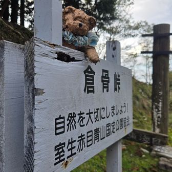 倉骨峠からは林道でバイクを停めたところに向かうことにしました。