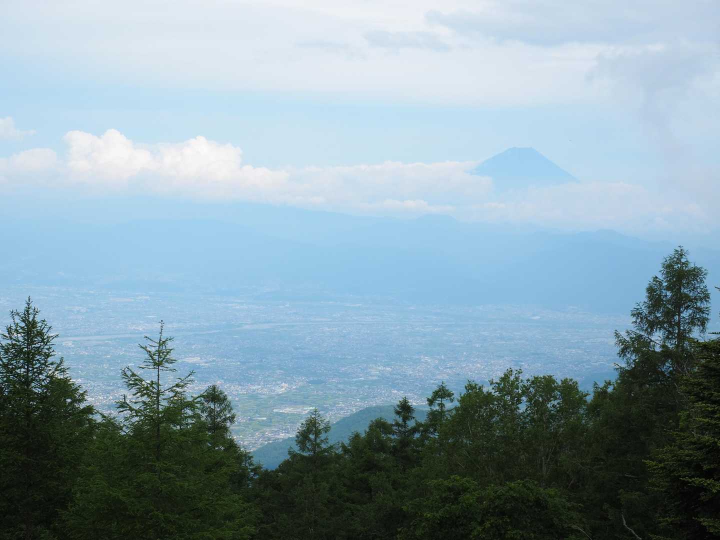 最後の最後で雲の上の富士山を見ることができた。満足😊