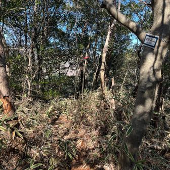 なかみ山踏破。漢字にするなら"中見山"だろうか。