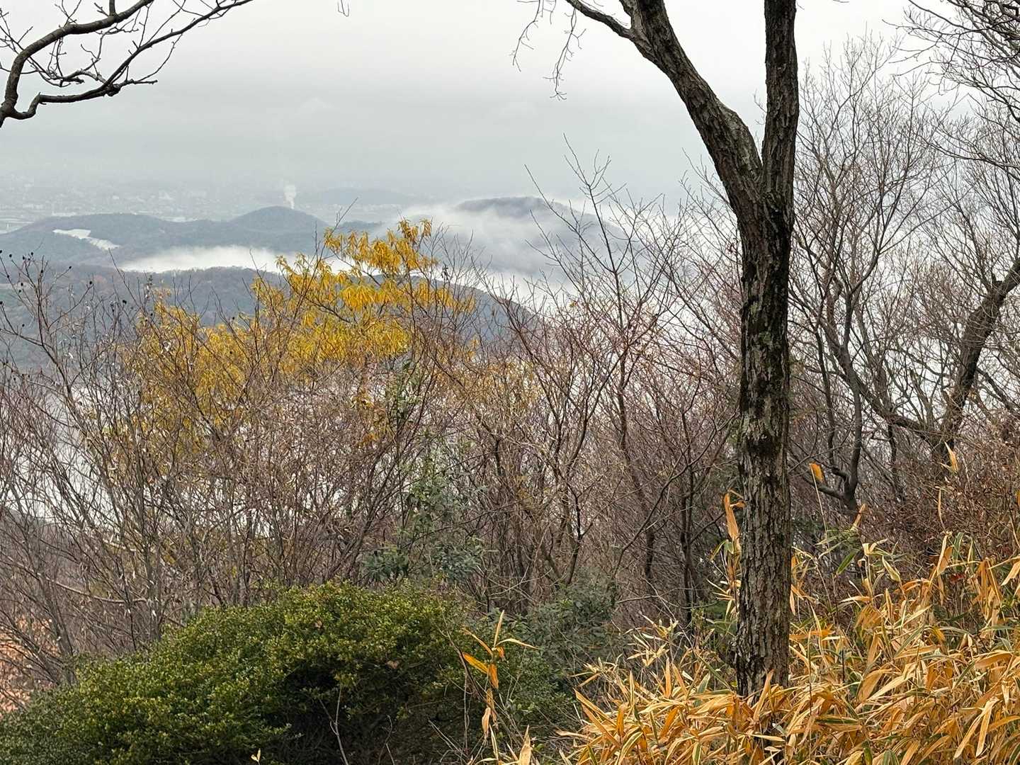寺山らへん雲海が