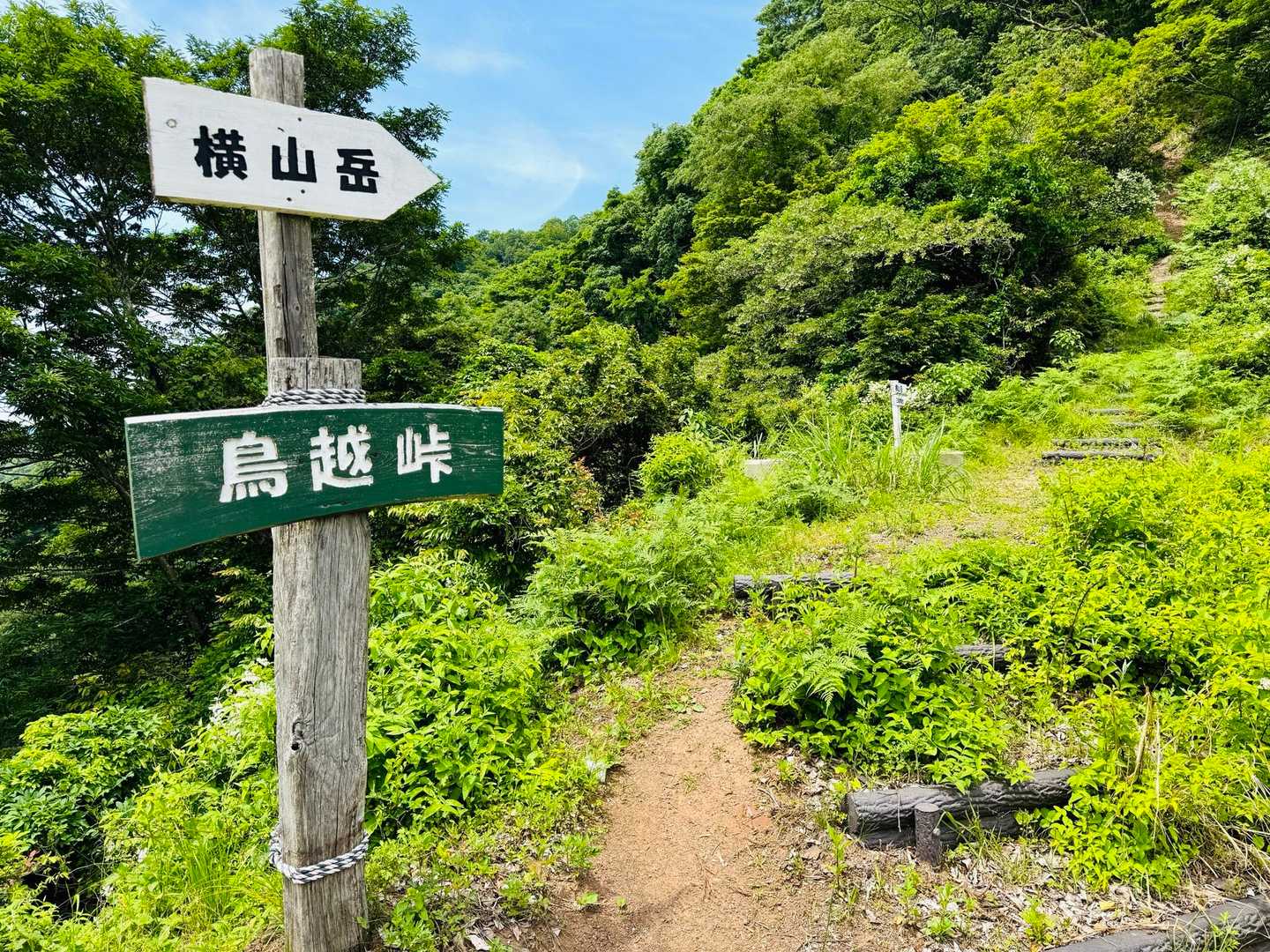 鳥越峠に到着❗️
後は駐車場🅿️までひたすら下り。
ほんまにあかんかった登山でした。
写真もしんどくてあんまり撮ってない😭