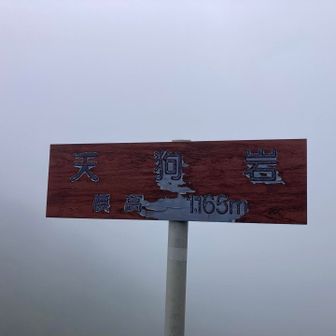 天狗岩ここも景色見えない